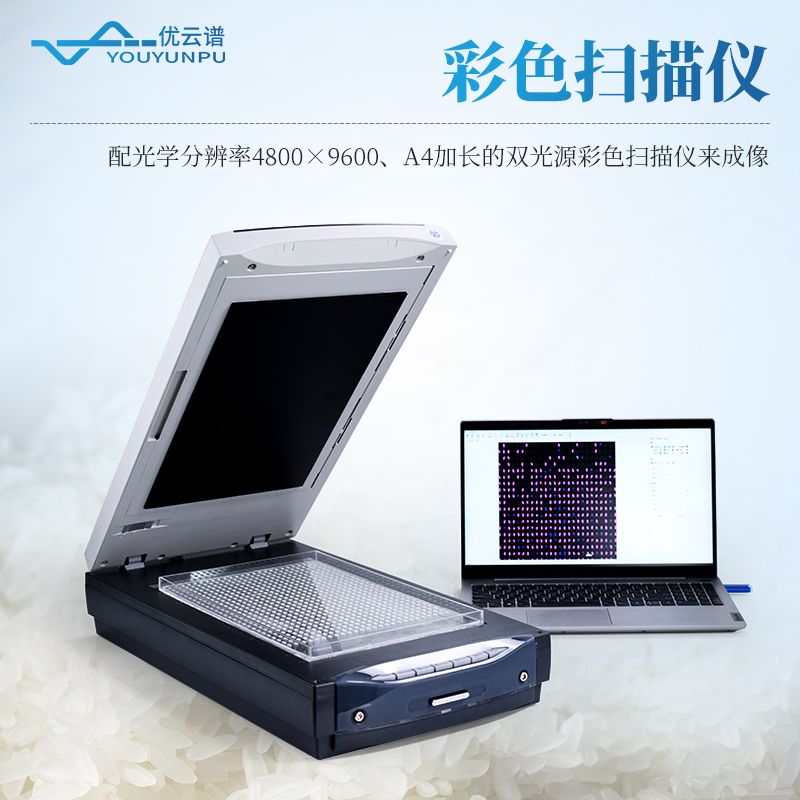 大米外觀品質(zhì)檢測儀